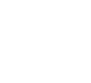 ISO 9001:2015 White